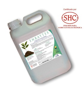 ENRAYTEX 5L Activador radicular