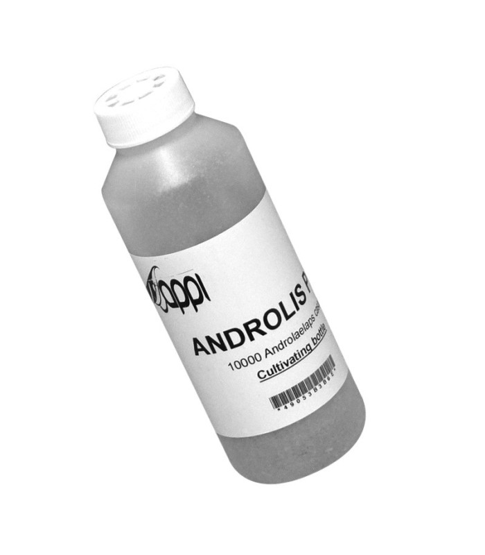 ANDROLIS M enemigo natural del Ácaro rojo de las aves