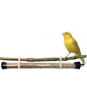 PREVORUS X 3 Ud, tubo dispensador de ANDROLIS Y TAURRUS