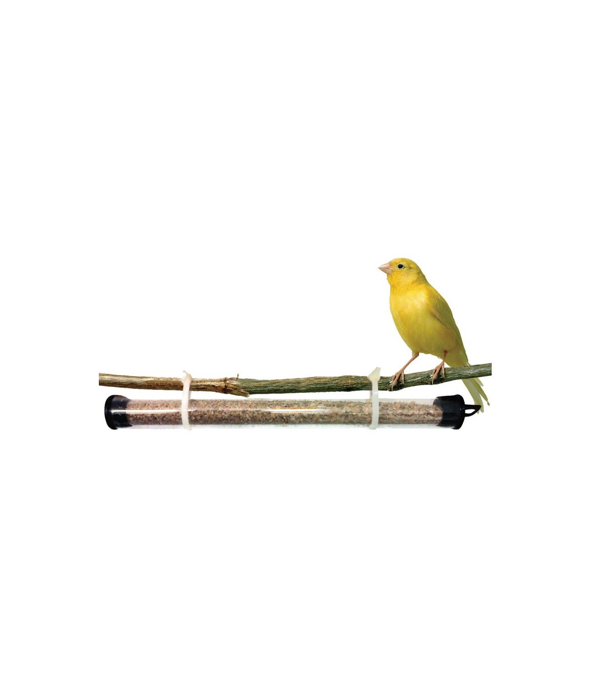 PREVORUS X 3 Ud, tubo dispensador de ANDROLIS Y TAURRUS