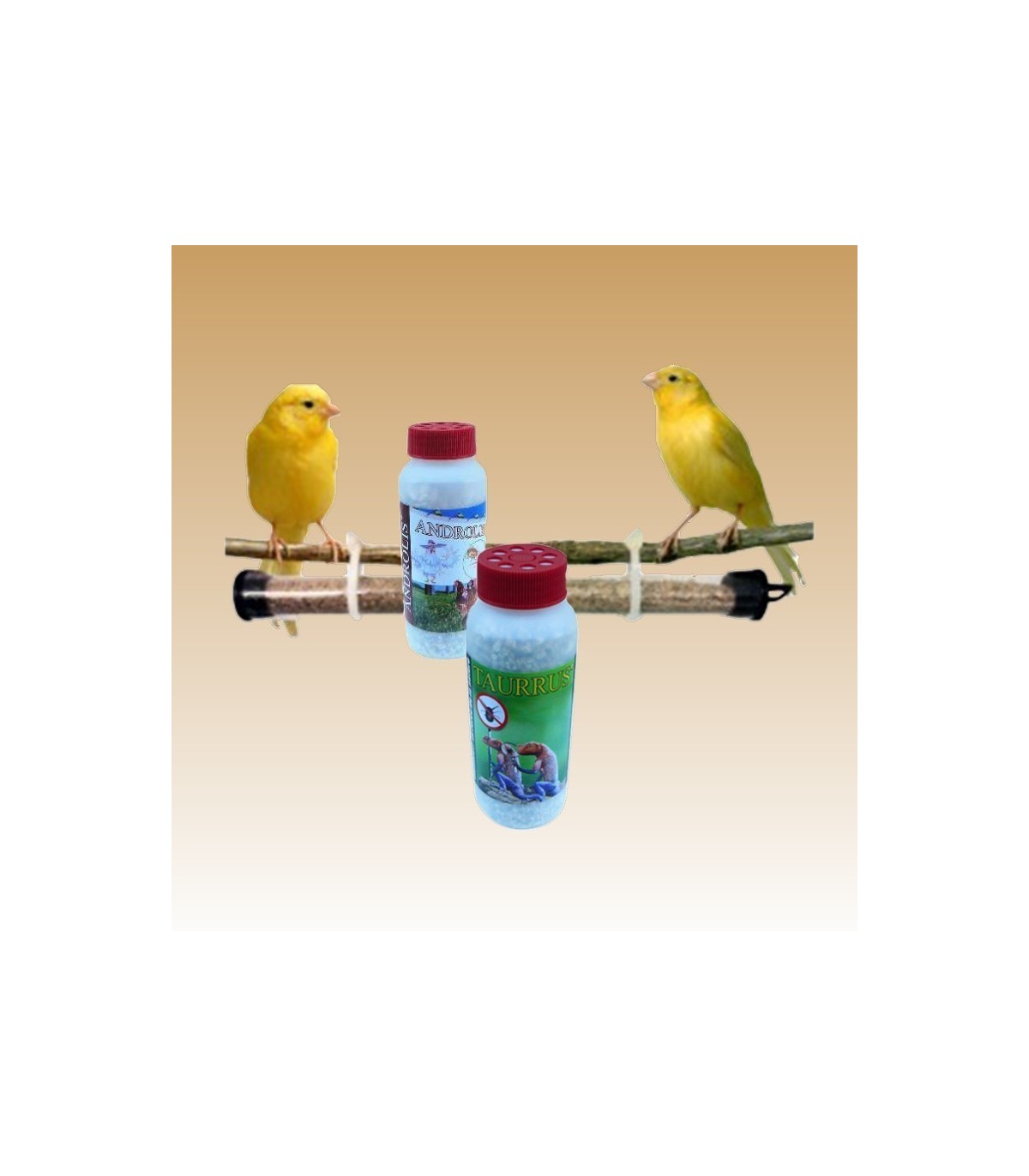 PREVORUS X 3 Ud, tubo dispensador de ANDROLIS Y TAURRUS