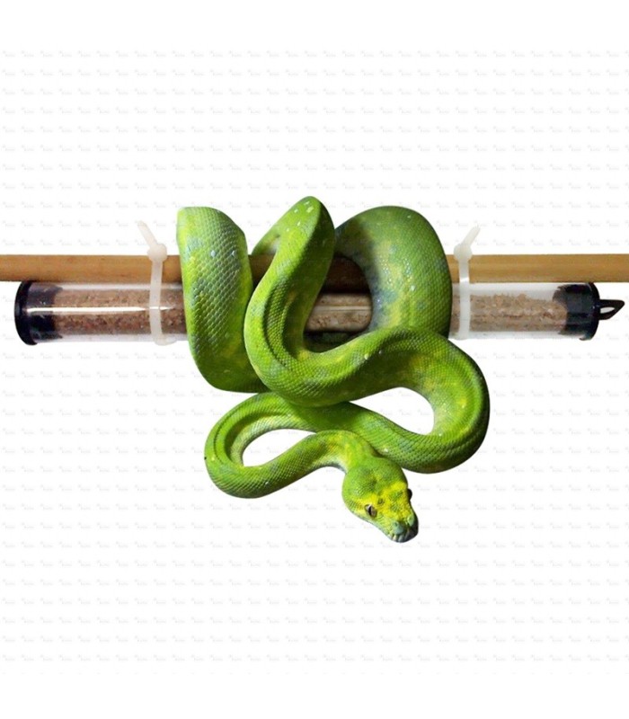 PREVORUS X 3 Ud, tubo dispensador de ANDROLIS Y TAURRUS