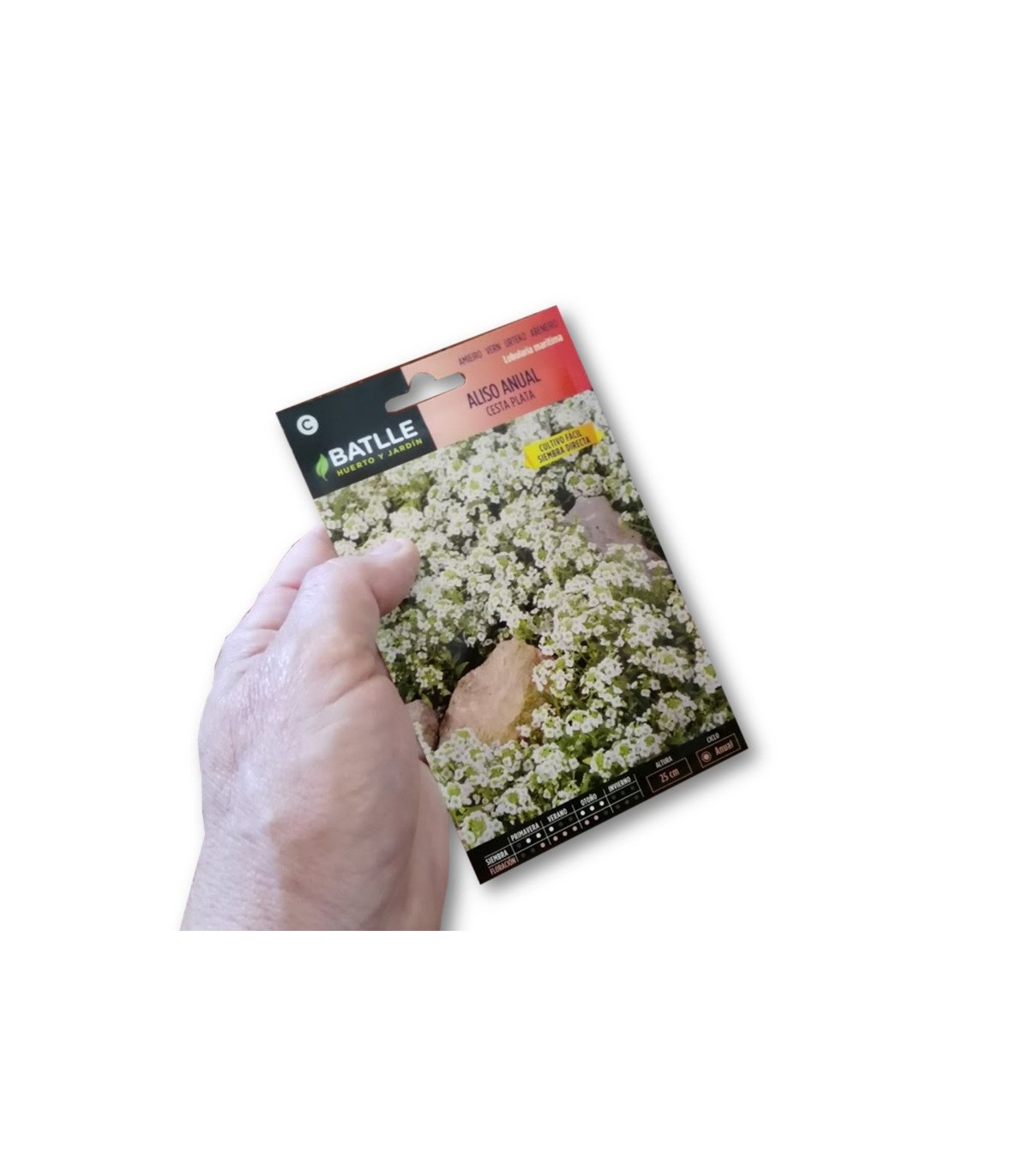 LOBULARIA MARITIMA sobre de 1 gramo