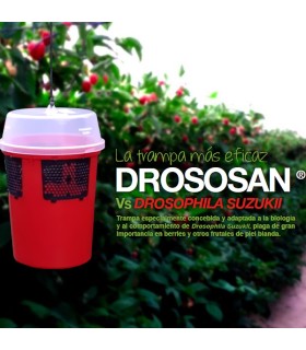 DROSOSAN mosquero para Drosophilla suzukii