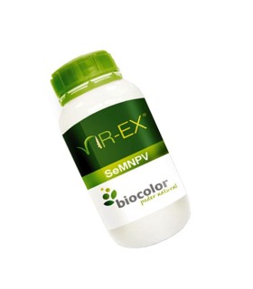 VIR-EX contra Spodoptera exigua