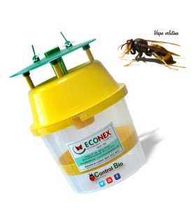 VELUTINATRAP Trampa para la avispa asiática