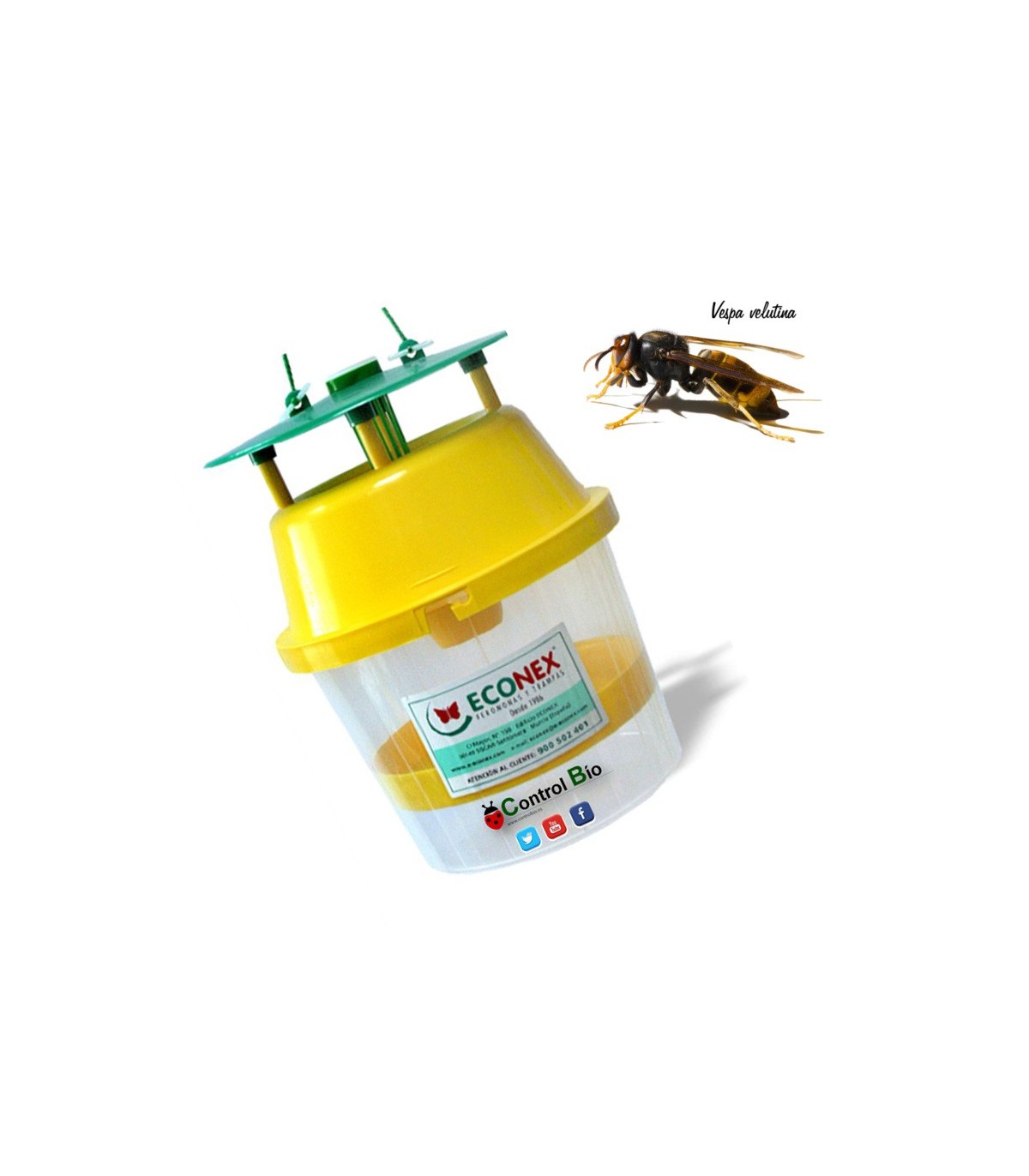 VELUTINATRAP Trampa para la avispa asiática