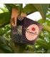 biobox