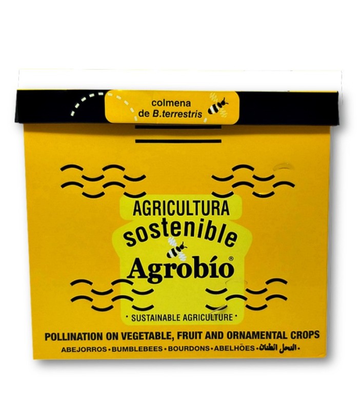 colmena de abejorros agrobio