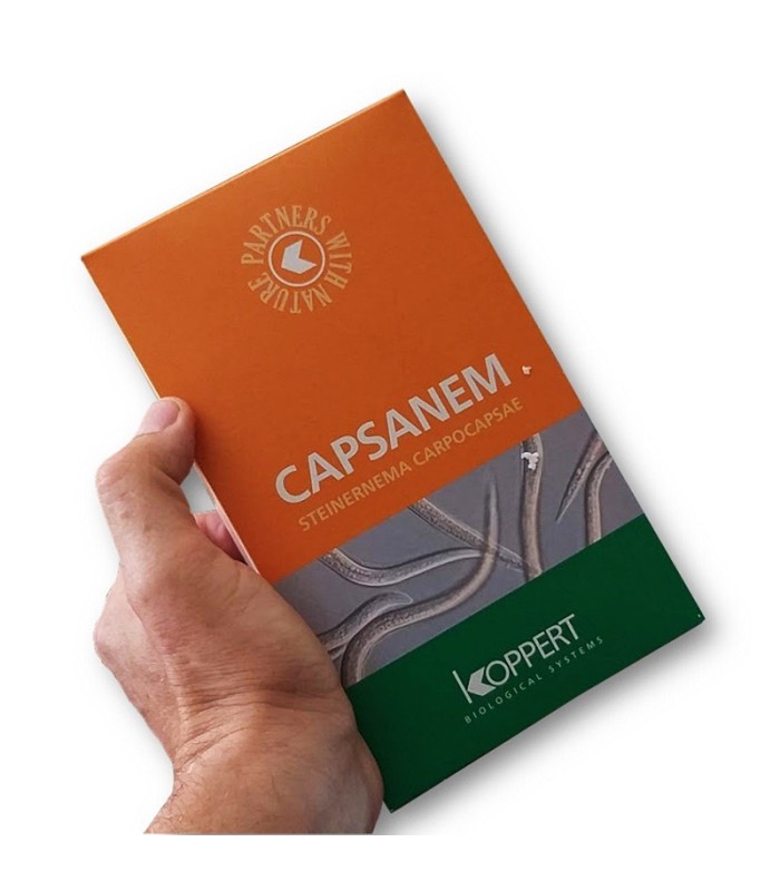capsanem steinernema carpocapsae koppert