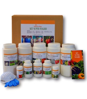 KIT SUPER MAGRO