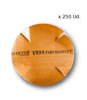 Parche Green Easy-Big para plástico 50 Ud