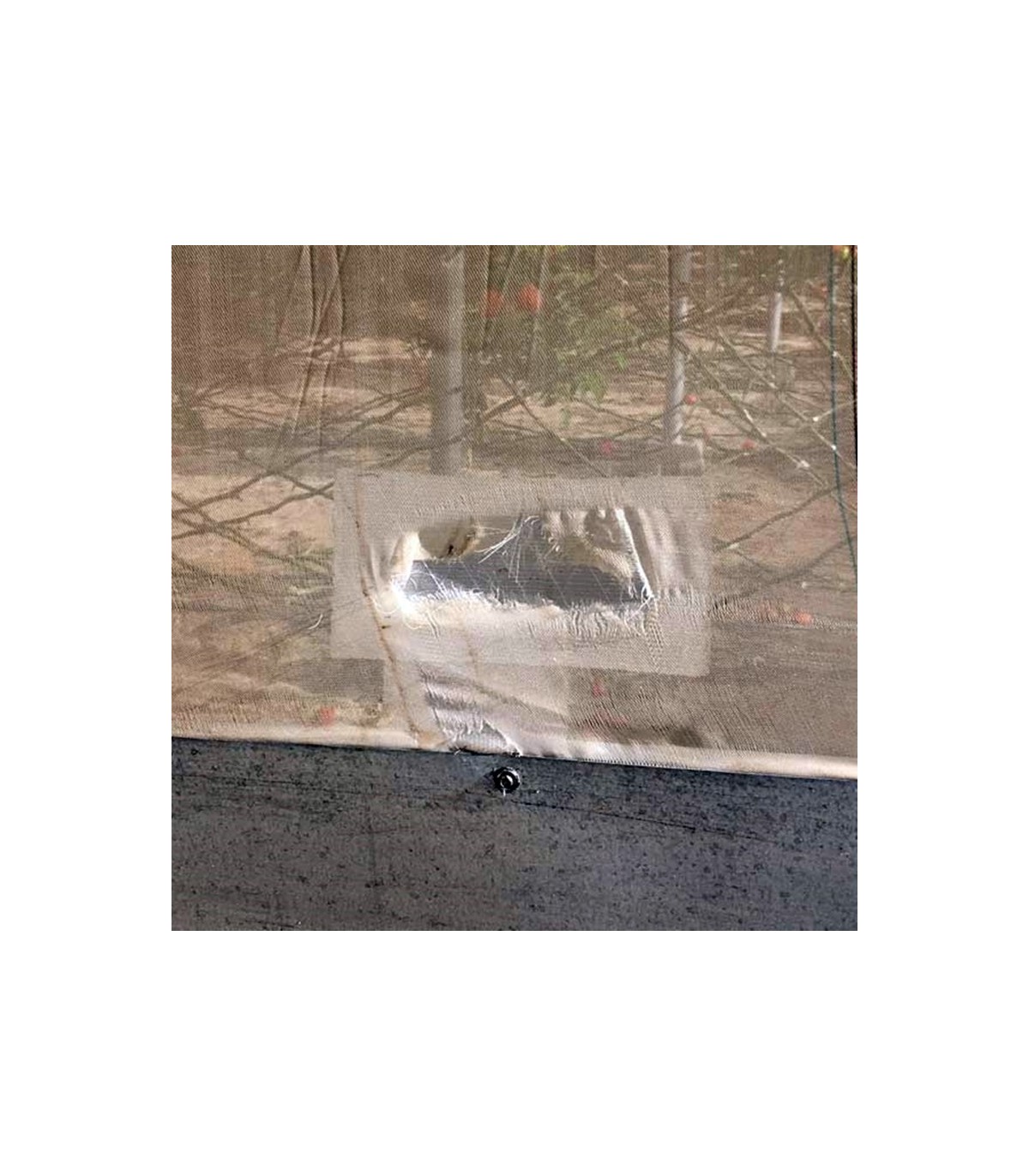 PARCHEGREEN EASY-BIG PARA MALLA BLANCA50 Ud