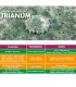 TRIANUM-P