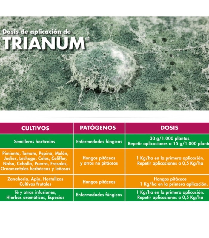 TRIANUM-P