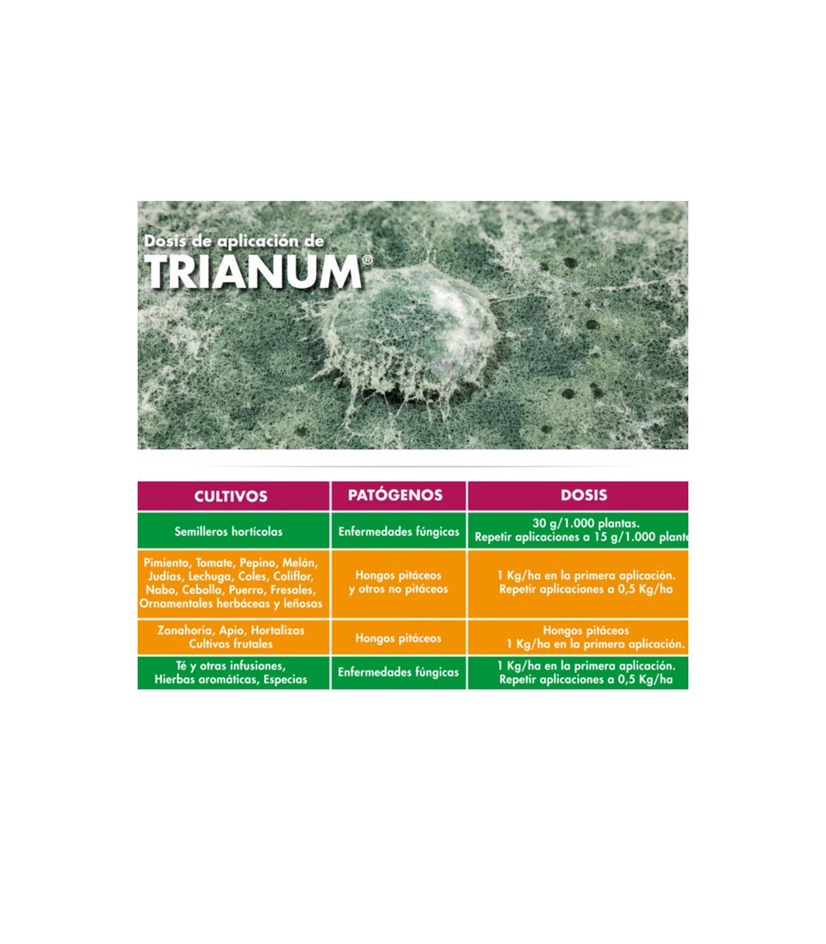 TRIANUM-P