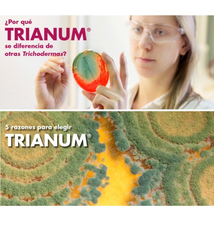 TRIANUM-P
