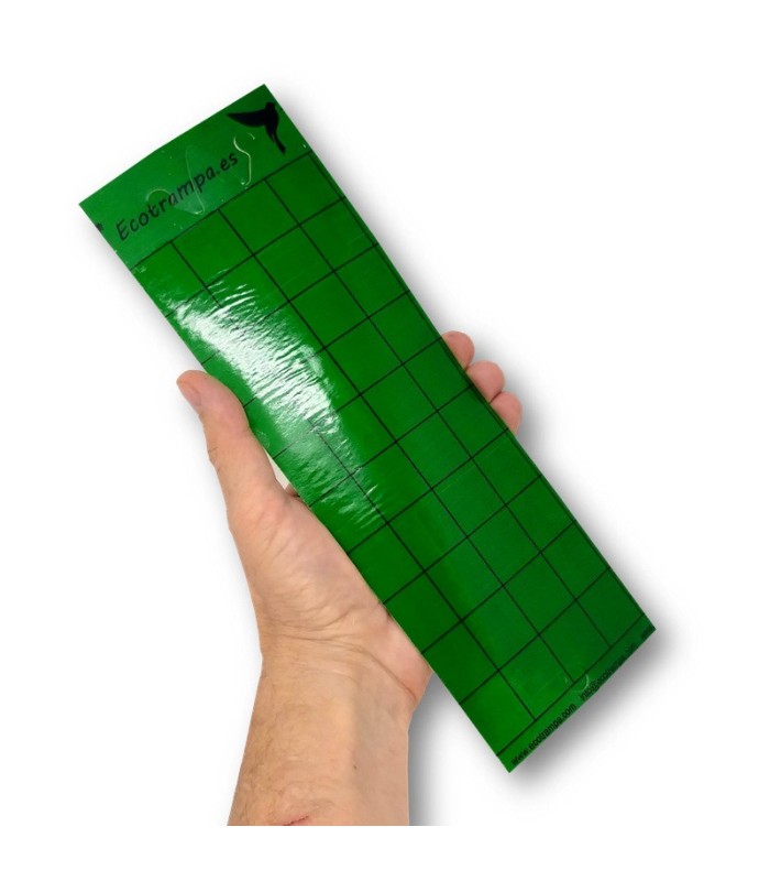 PLACA VERDE 10 x 30 cm individual