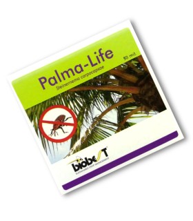 PALMA LIFE 250 nematodos contra picudo rojo (10-20 palmeras)