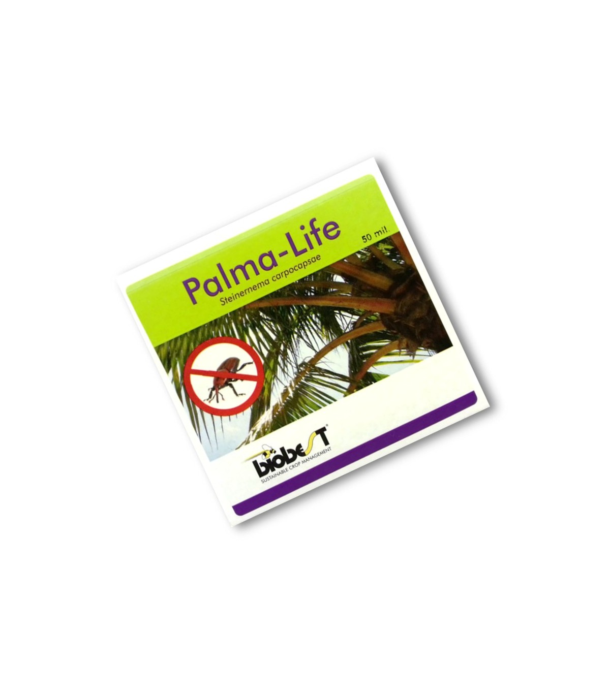 PALMA LIFE 250 nematodos contra picudo rojo (10-20 palmeras)