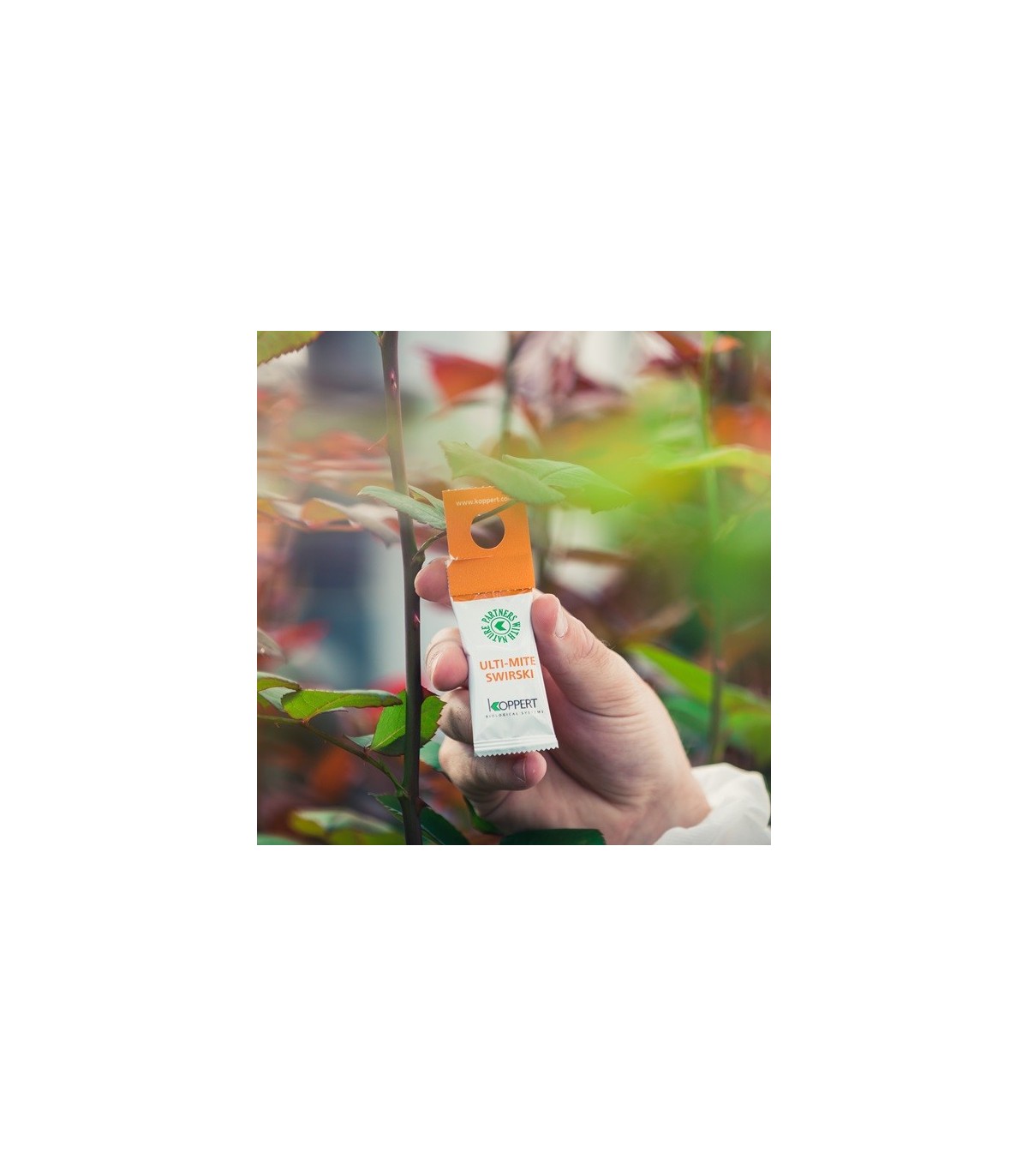 ulti-mite swirski 10