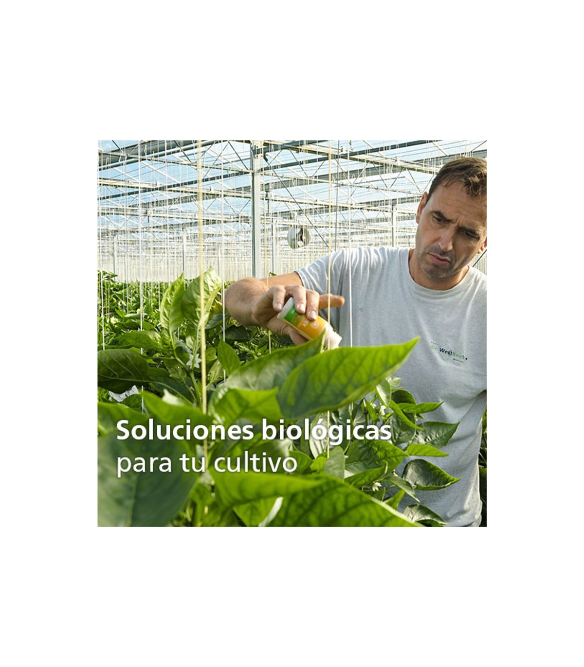 Thripor-L-2000