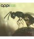 appiwasp 15000 contra moscas