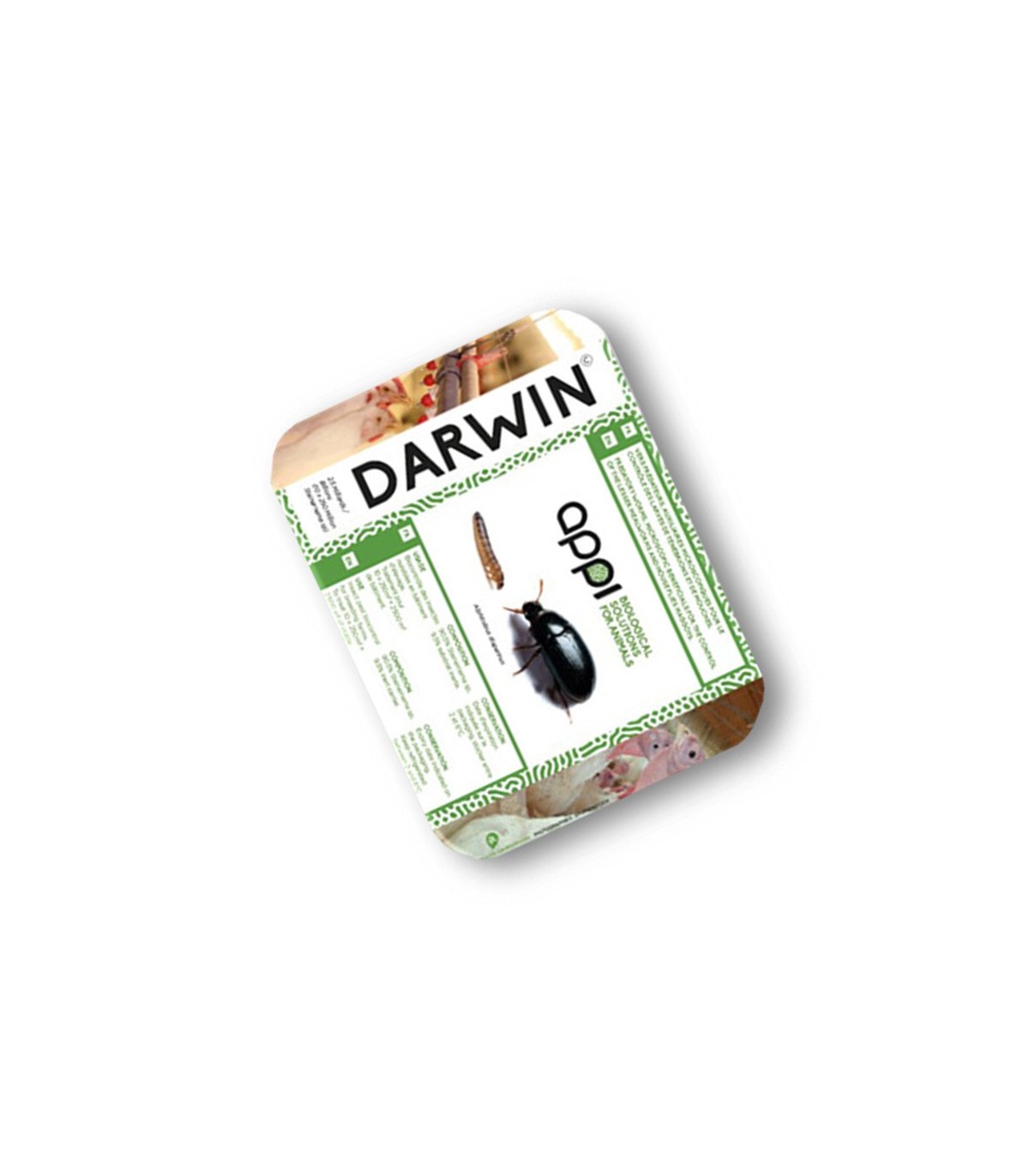 DARWIN 250 enemigo natural de Alphitobius