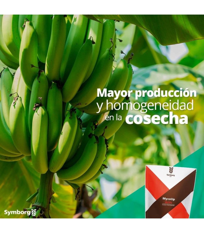 Mycoup micorrizas symborg