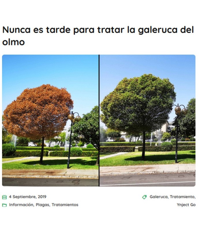 YNJECT GO GALERUCA DEL OLMO