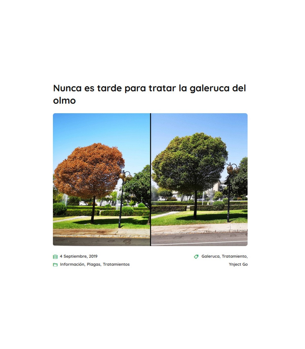YNJECT GO GALERUCA DEL OLMO