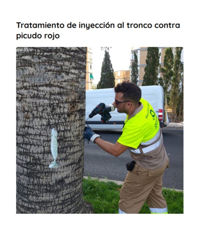 VACUNA CONTRA PICUDO ROJO (Ynject + acetamiprid + abamectina)
