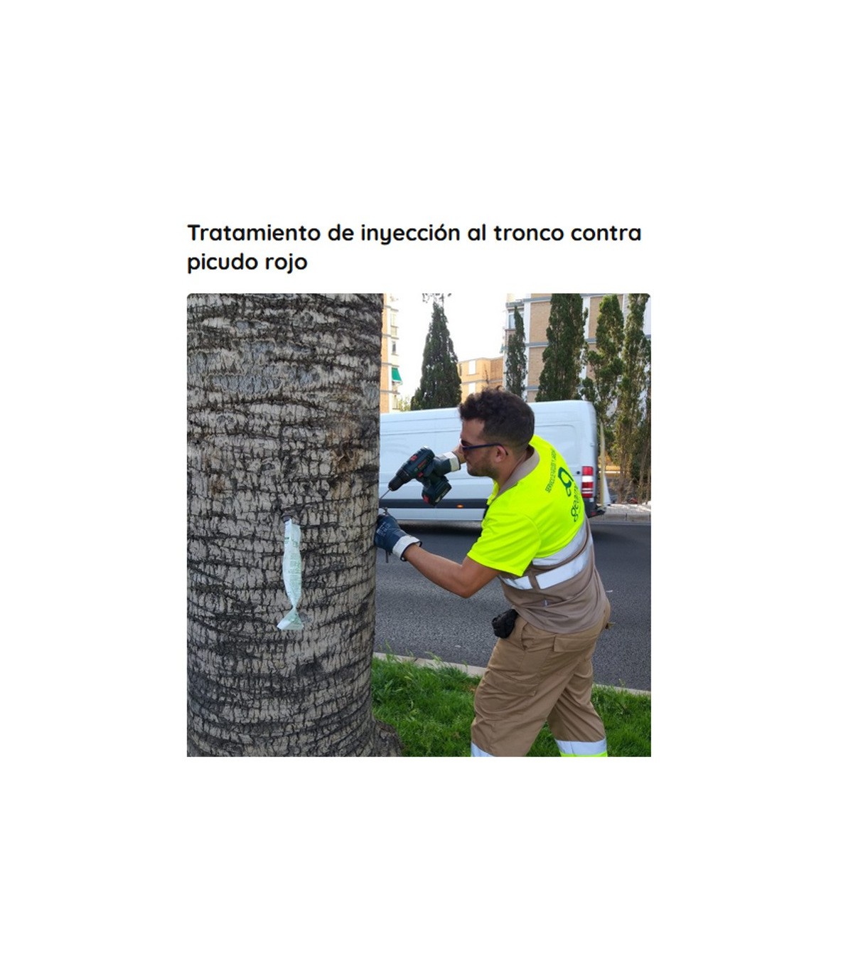VACUNA CONTRA PICUDO ROJO (Ynject + acetamiprid + abamectina)