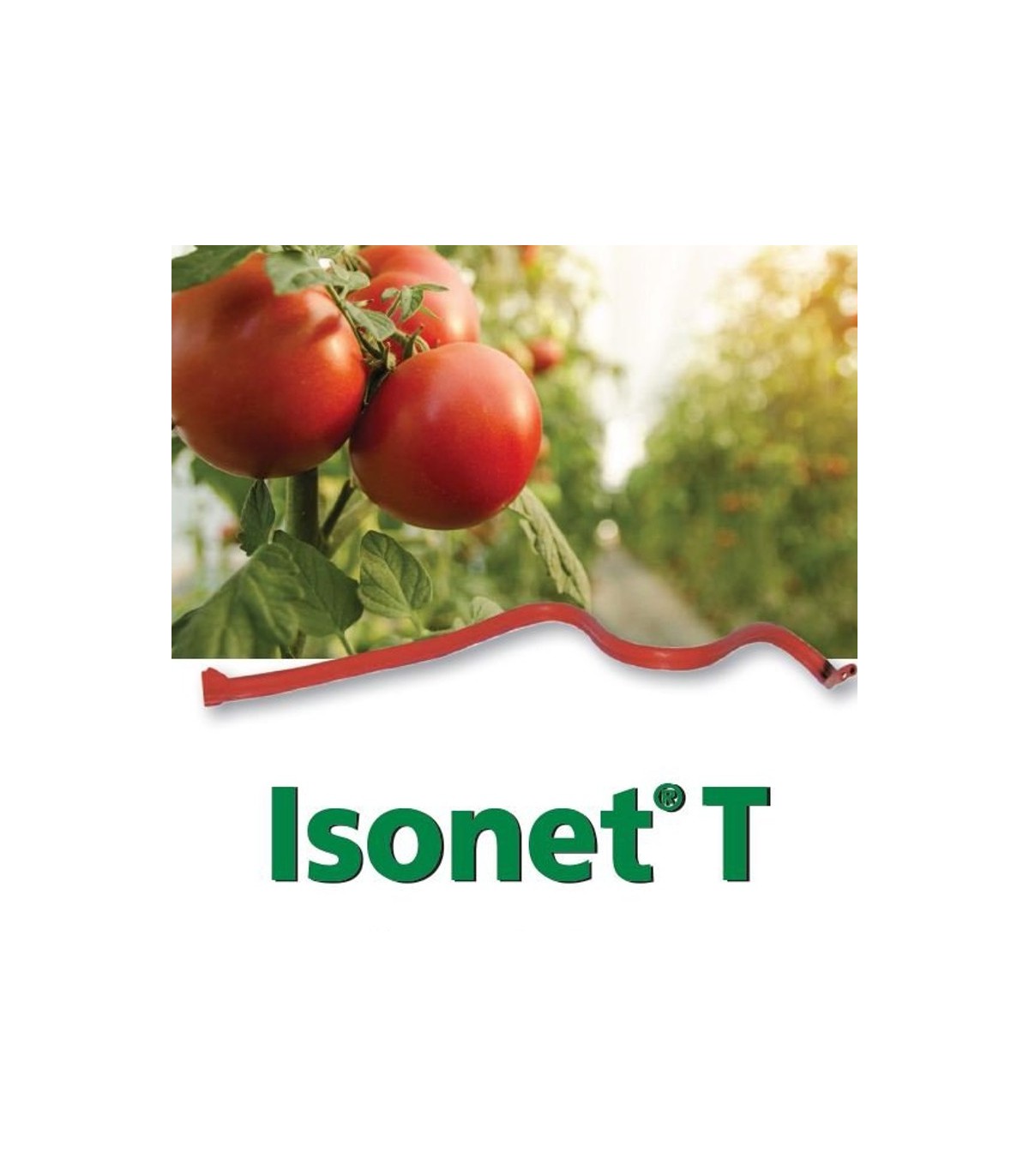 ISONET T (x 500 Ud) difusores confusion sexual de tuta