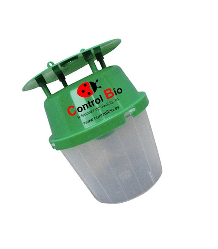Polillero verde funnel base transparente