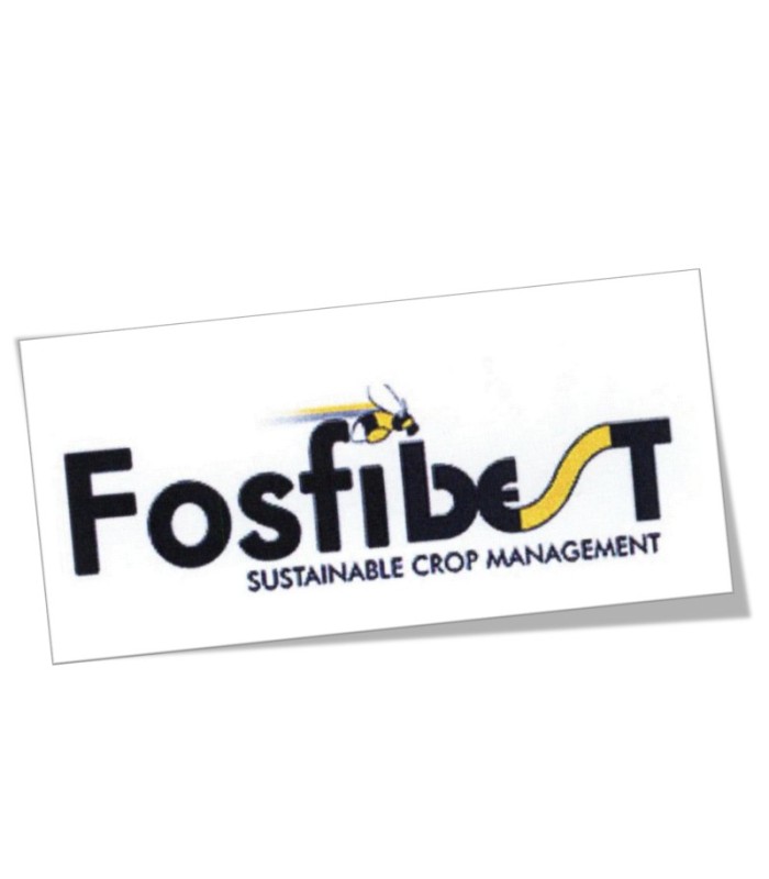 FOSFIBEST 5L jabón fosfórico