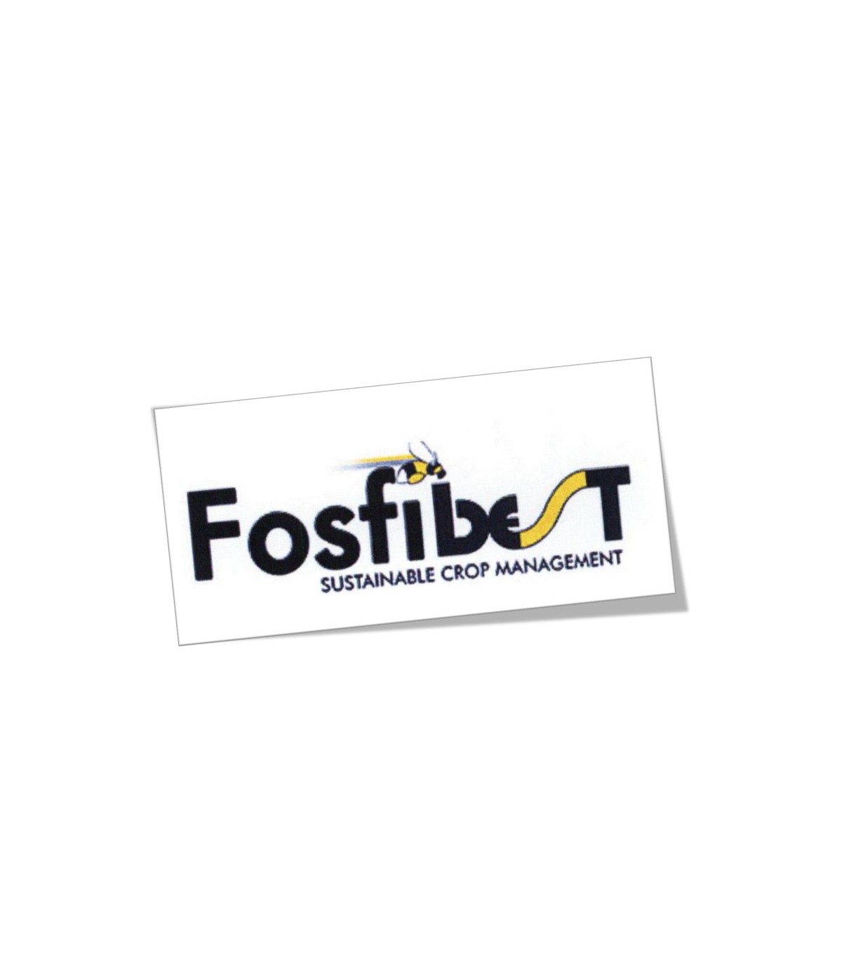 FOSFIBEST 5L jabón fosfórico