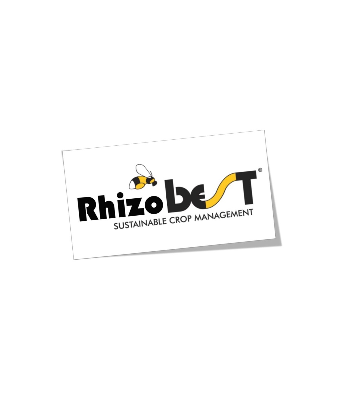 RHIZOBEST 1L enraizante
