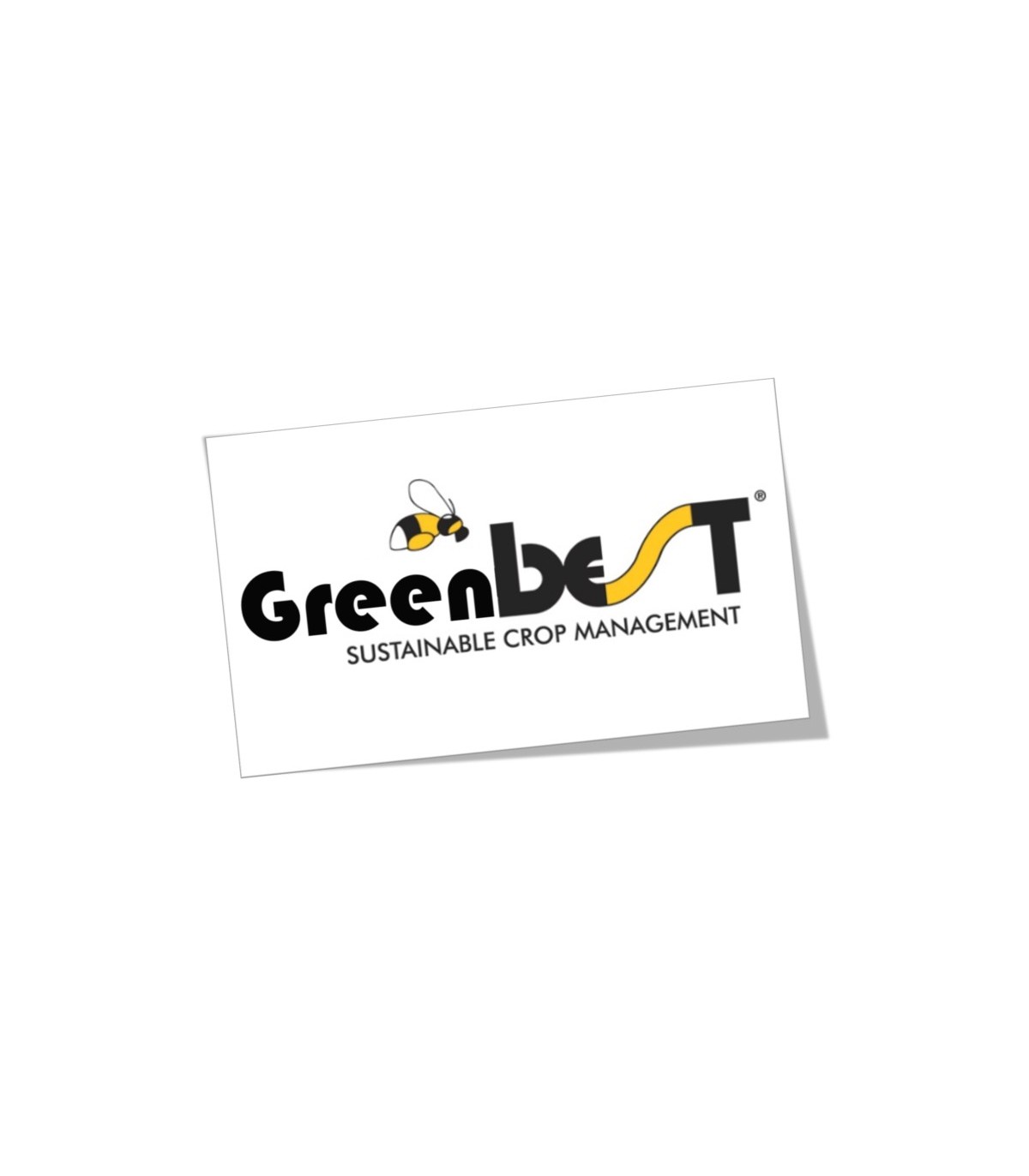 GREENBEST 800 gr extracto de algas ascophyllum