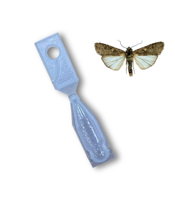 EXITEC  x50 Ud confusión sexual Spodotera exigua