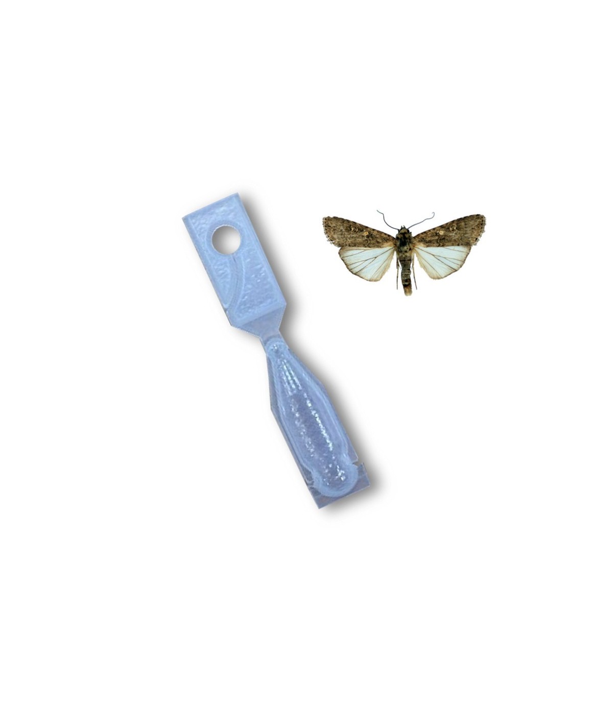 EXITEC  x50 Ud confusión sexual Spodotera exigua