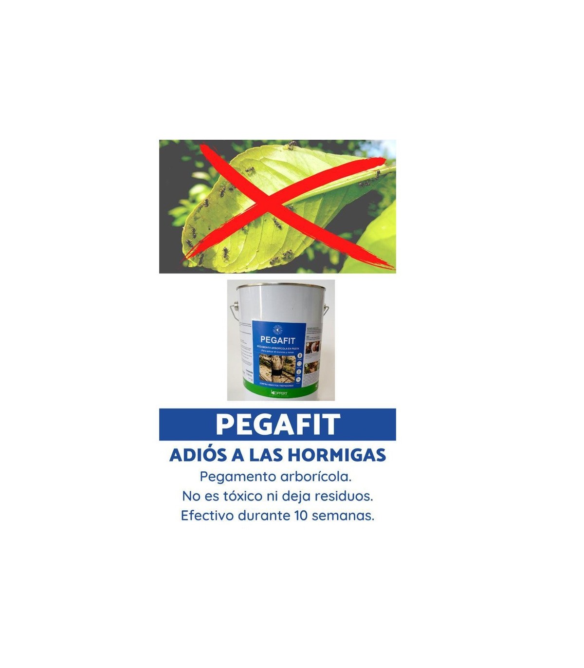 PEGAFIT pegamento arborícola antihormigas
