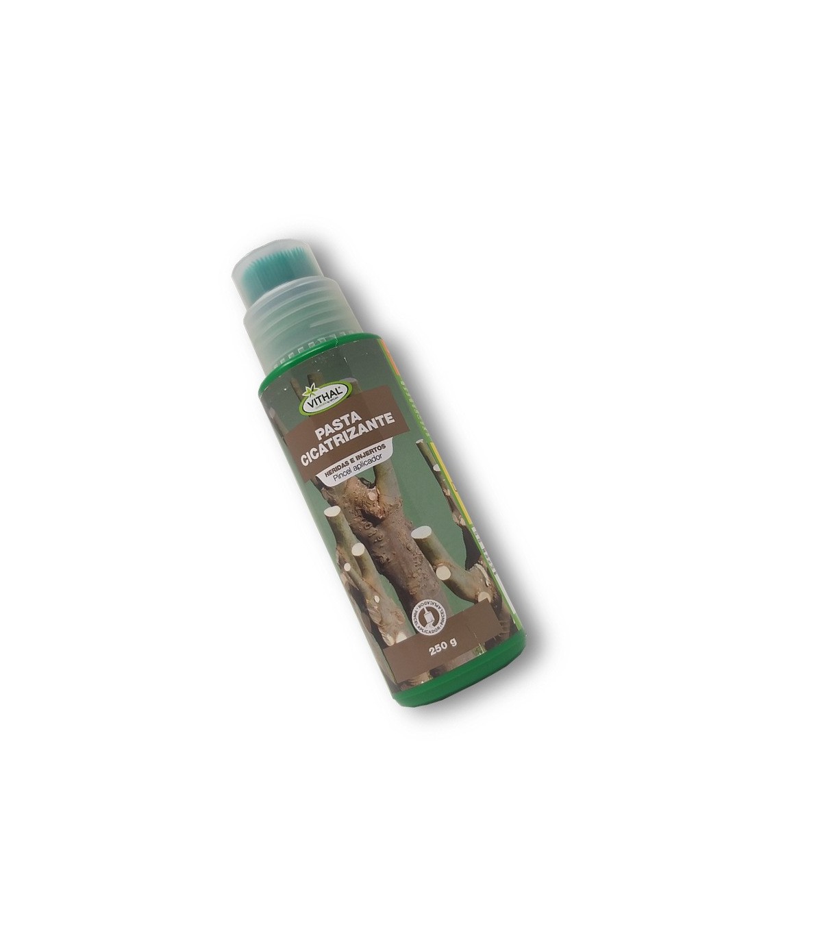PASTA CICATRIZANTE 250 gr