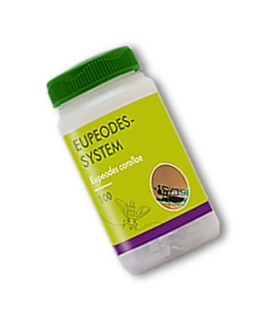 Eupeodes-System-100