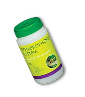 SPHAEROPHORIA SYSTEM 100