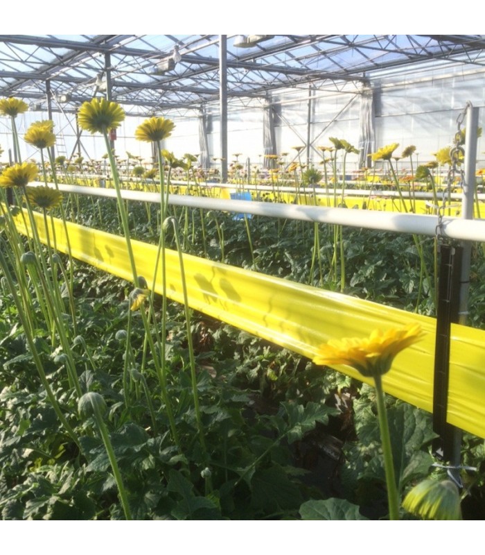ROLLO AMARILLO 30 cm X 100 m