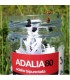 ADALIA 100 adultos de Adalia bipunctata