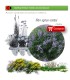 comprar Vitex agnus cactus (Sauzgatillo) BF54