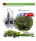 comprar Rhamnus alaternus (Aladierno) BF54