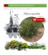 comprar Phillyrea angustifolia (Oivilla) BF54